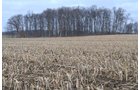 Property photo 70 - 98+/- Acres Offered in 6 Tracts or Combinations, Noble County, Indiana Farm